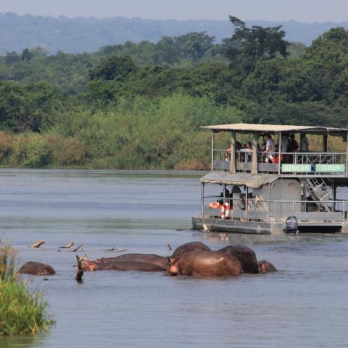 Murchison Falls boat ride - Uganda Rwanda Safari Adventure