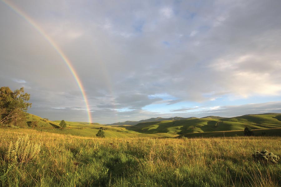Kitulo Plateau National Park