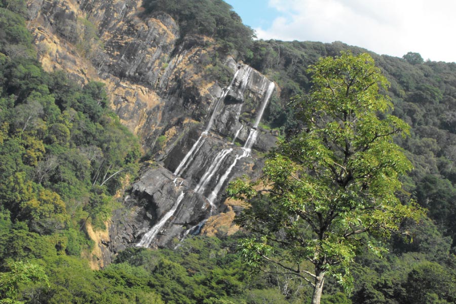Udzungwa Mountains National Park