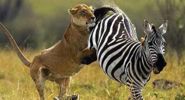Arusha National Park