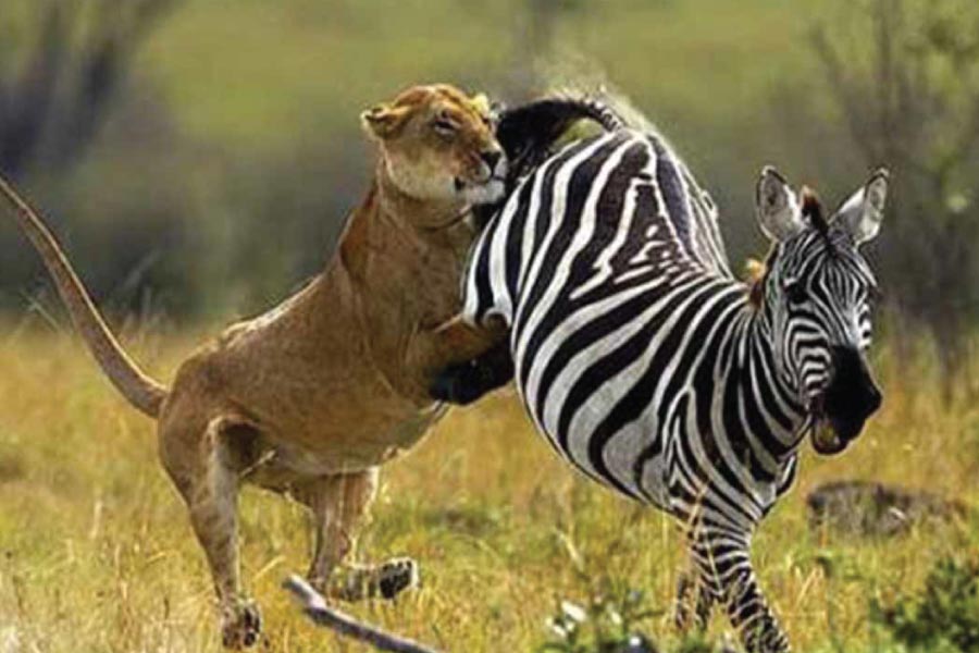 Arusha National Park