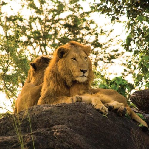 Kidepo Valley National Park