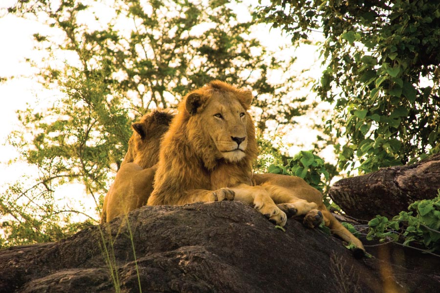 Kidepo Valley National Park