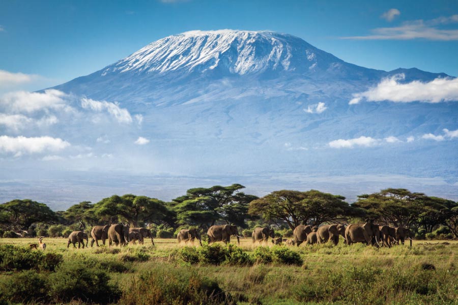 Mount Kilimanjaro National Park