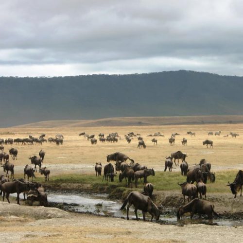 lake-eyasi-tanzania