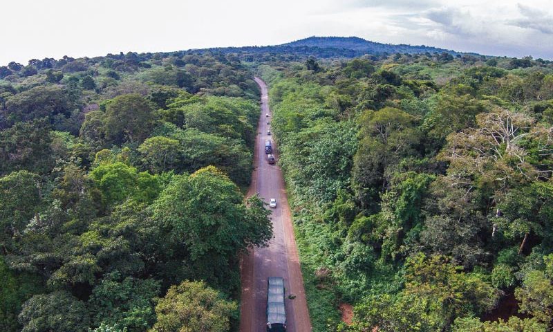 Mabira Forest Reserve, Uganda