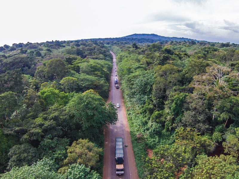 Mabira Forest Reserve, Uganda