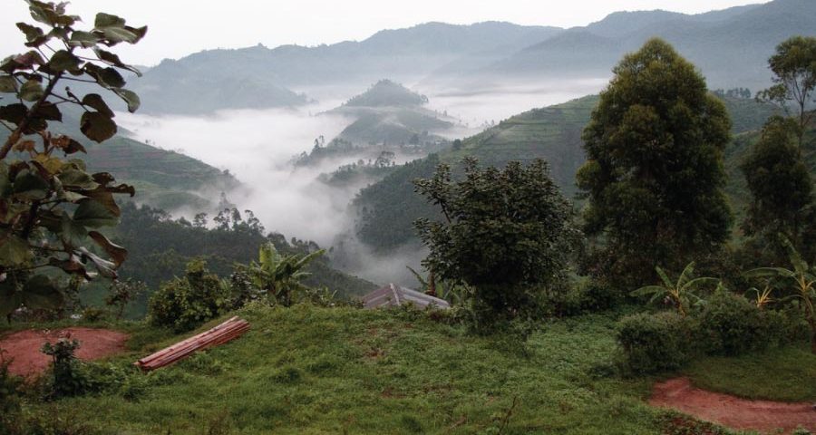 Bwindi Impenetrable Forest National Park
