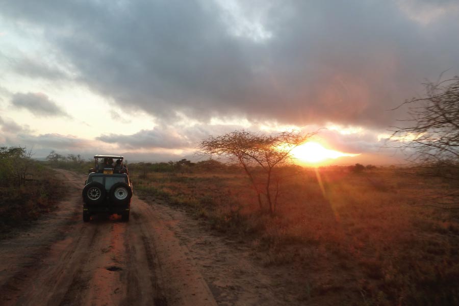 Mkomazi National Park