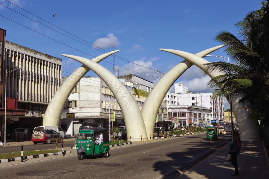 Kenya Mombasa Tusks