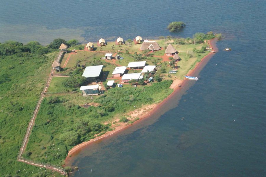 Ngamba Island