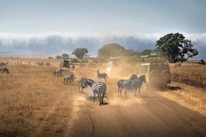 Ngorongoro Crater Safari