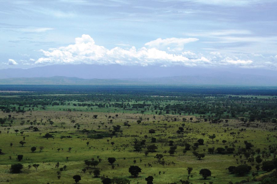 Queen elizabteh National Park, Savanna Wildlife Safari, Uganda Safari
