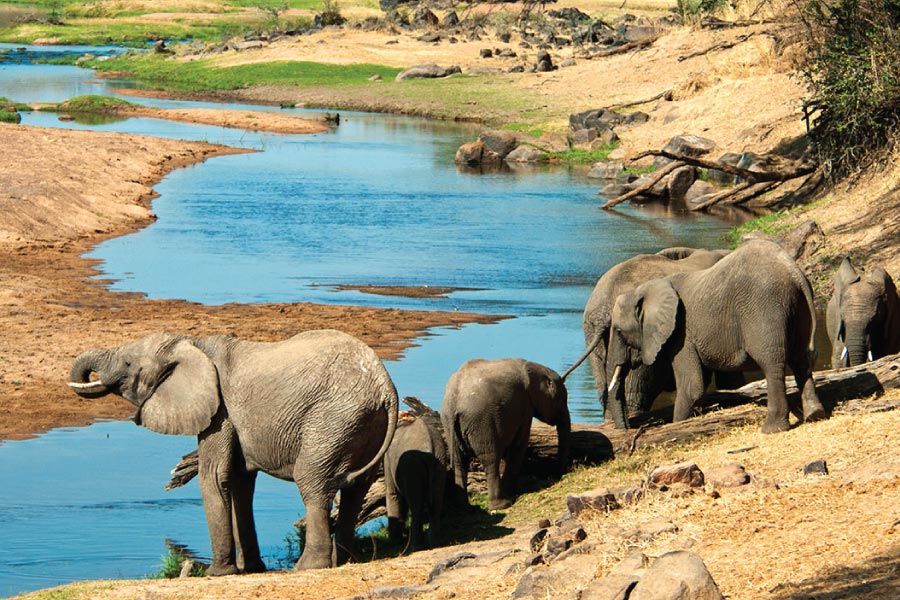 ruaha national park