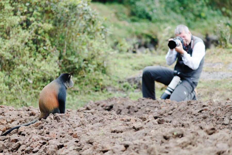 Golden Monkey Trekking Permit Safari Experience