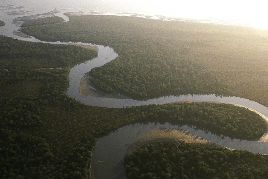 Saadani National Park