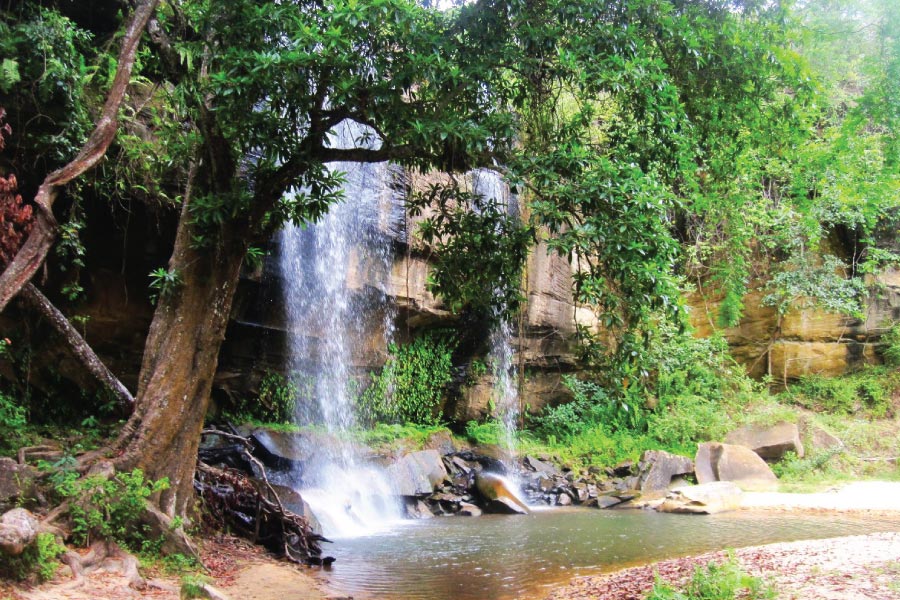 shimba hills national reserve