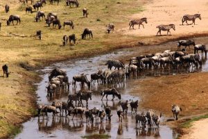 Tarangire National Park
