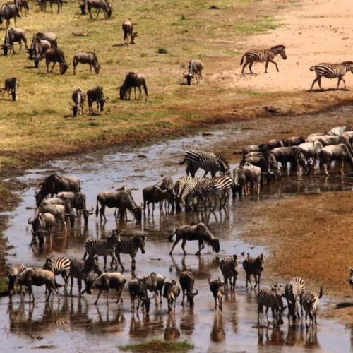 Tarangire National Park