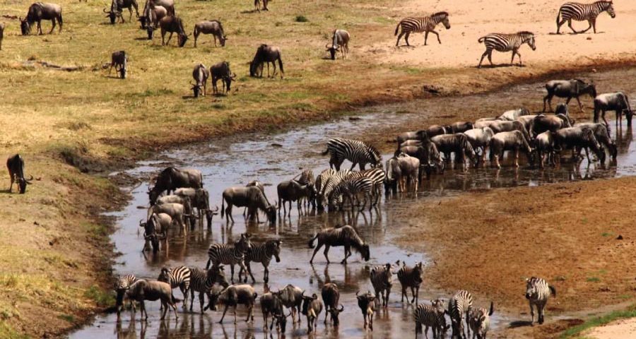 Tarangire National Park