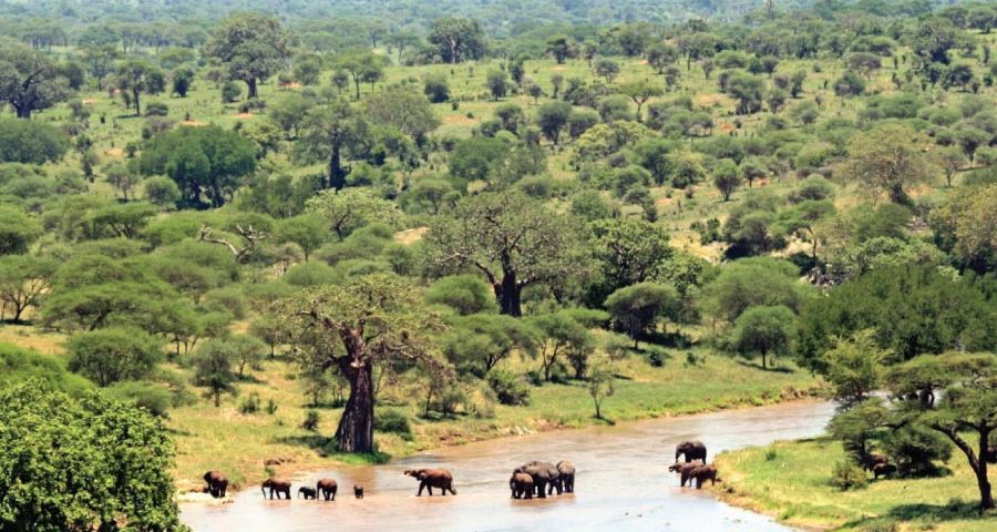 Tarangire National Park