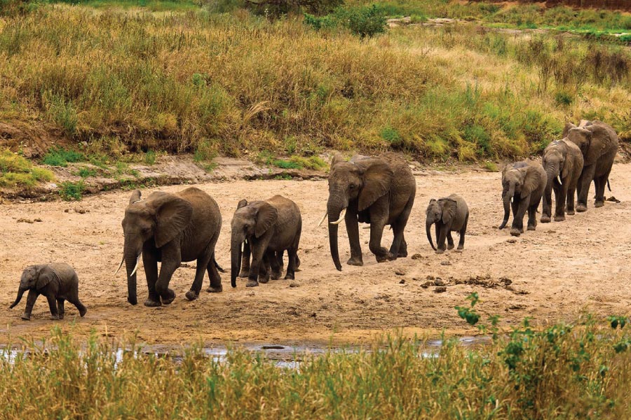 tarangire national park