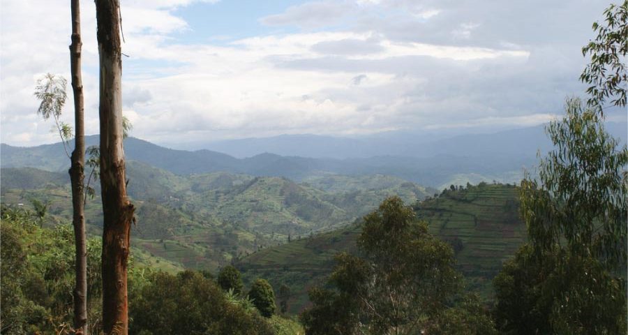 Rwanda Gorillas & Lake Kivu Tour