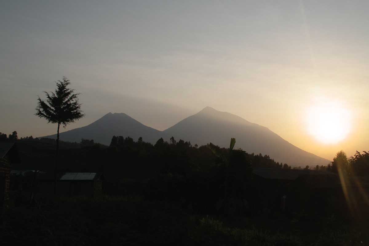 Volcanoes national Park Rwanda