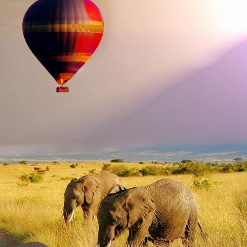 kenya mara balloon safari