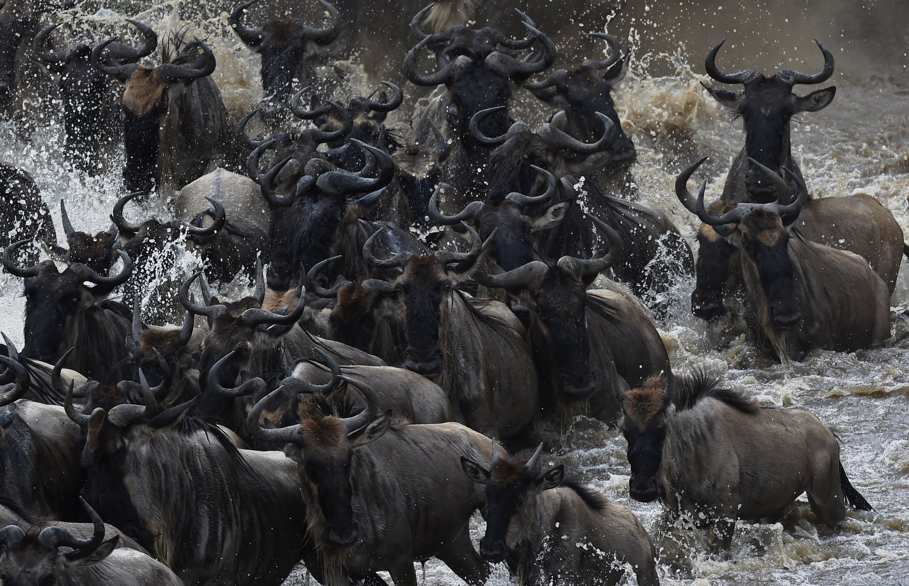 9 Days Tanzania and Rwanda Safari