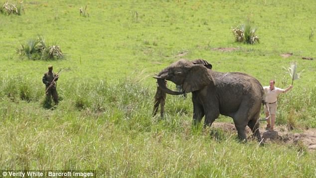Murchison falls National park