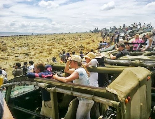 Is Kenya or Tanzania Better for Wildebeest Migration Safaris