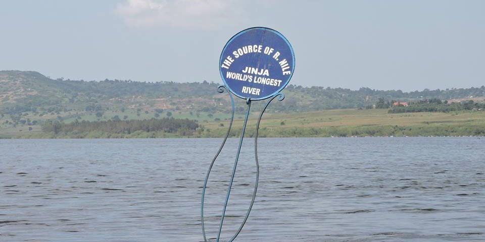 Serengeti Wildebeest Migration