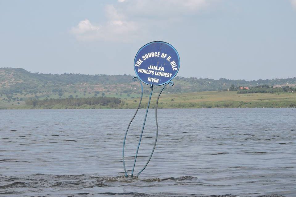 Serengeti Wildebeest Migration