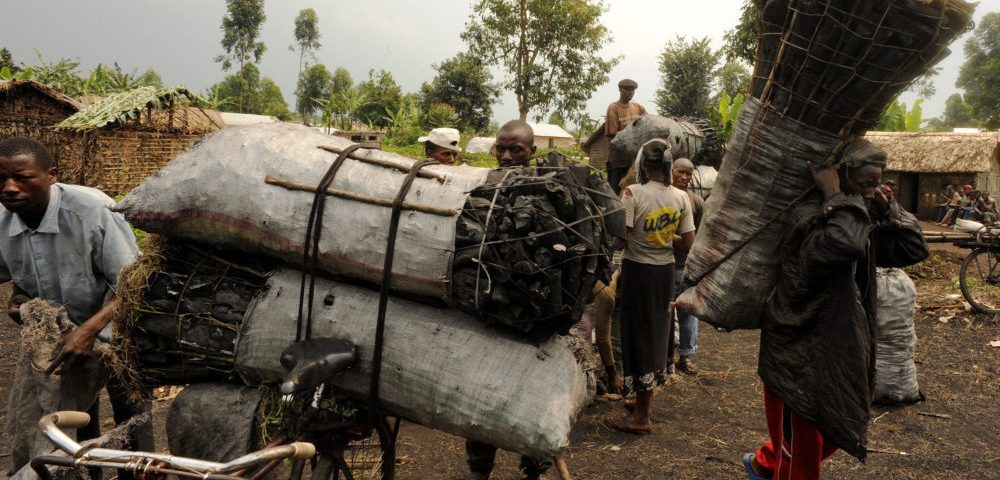 virunga