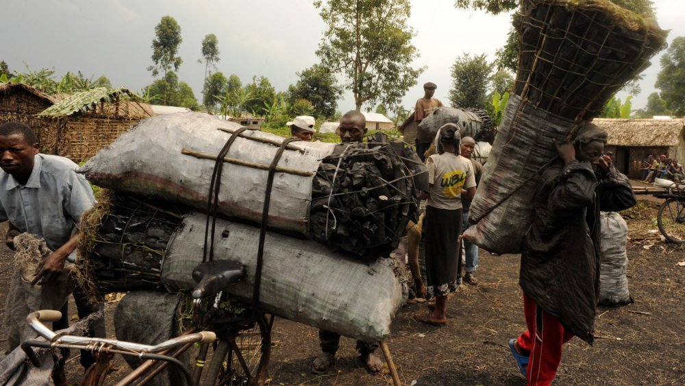 virunga