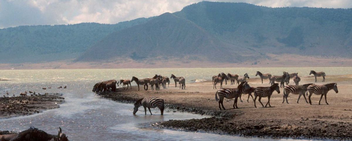 Ngorongoro Conservation Area