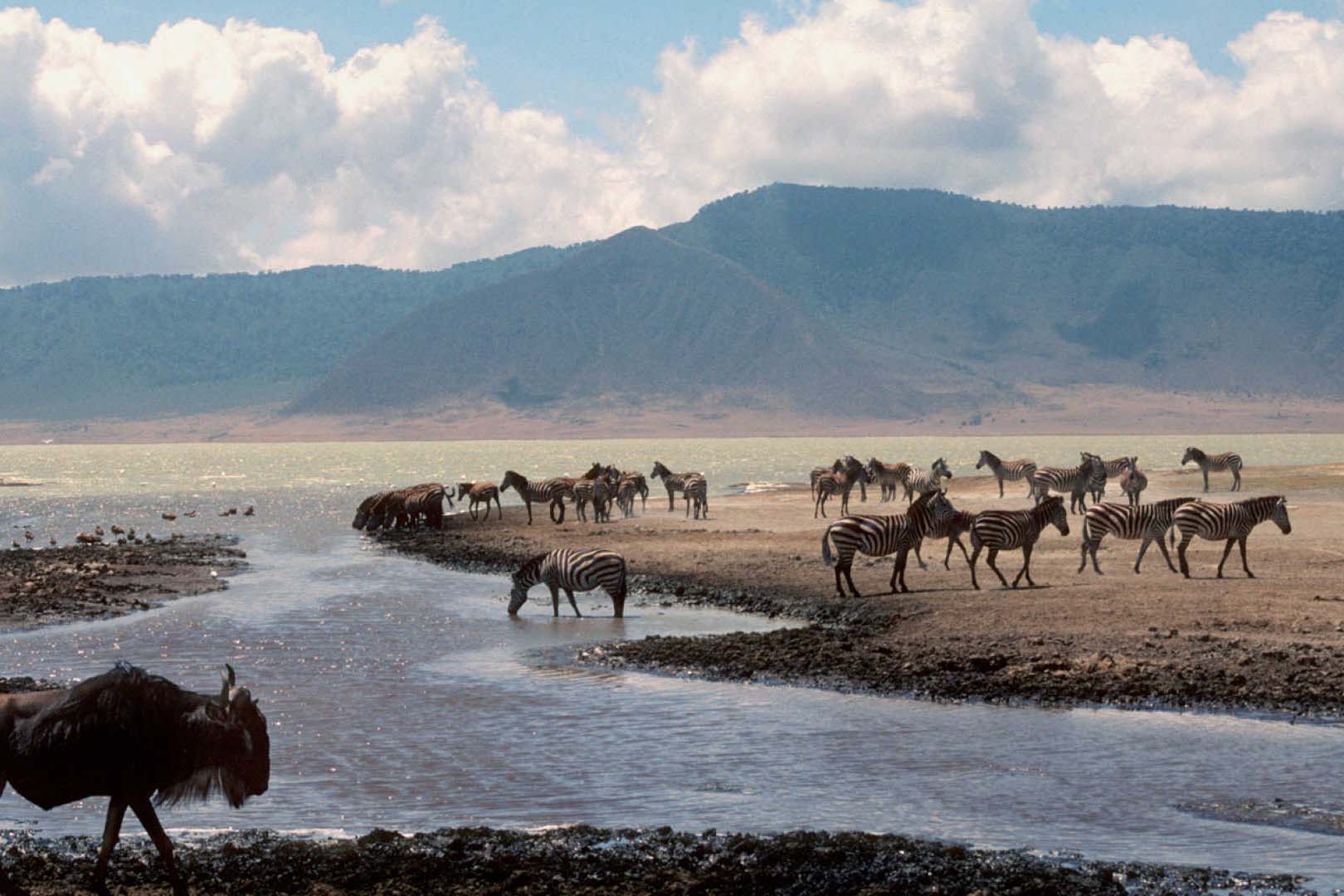 Ngorongoro Conservation Area