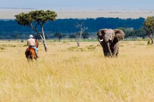 8 Days Uganda & Kenya Wildlife Safari