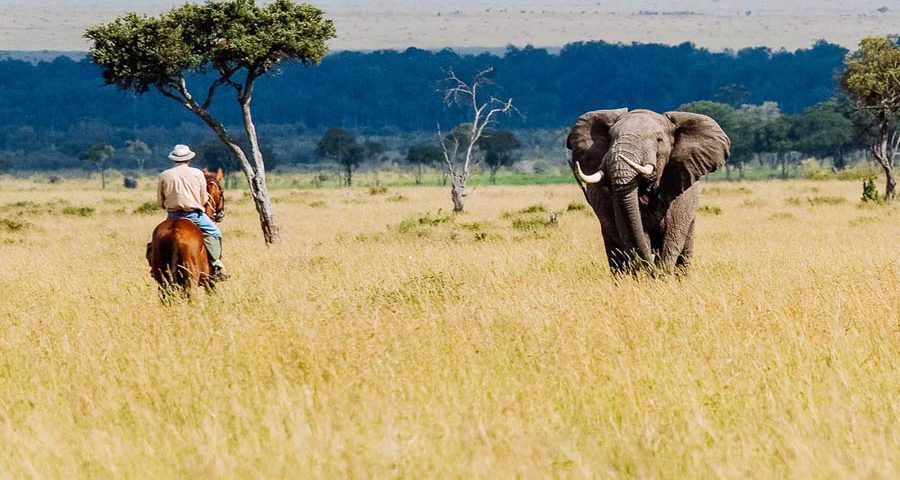 8 Days Uganda & Kenya Wildlife Safari