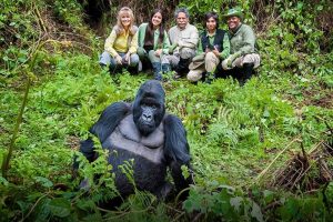 Uganda Safari Tours