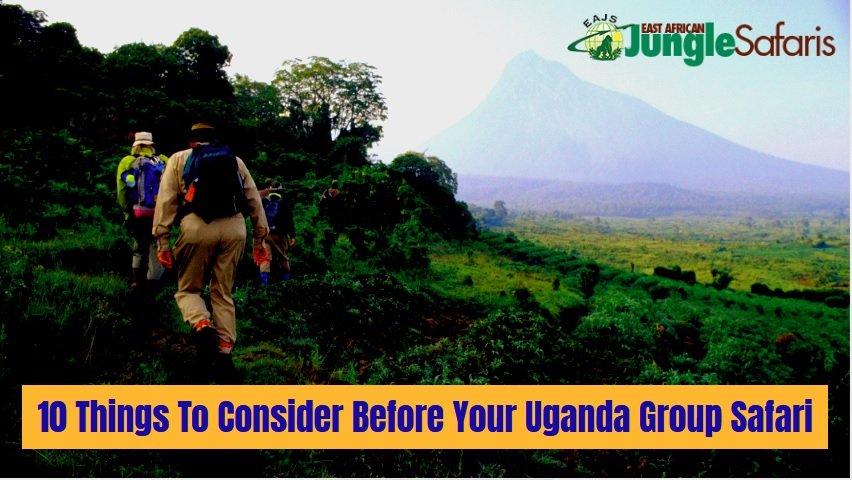 Uganda Safari