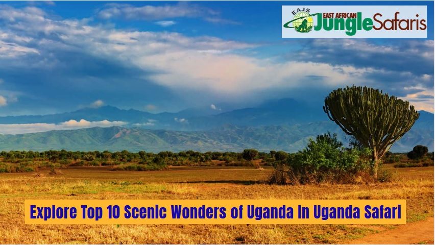Uganda Safari