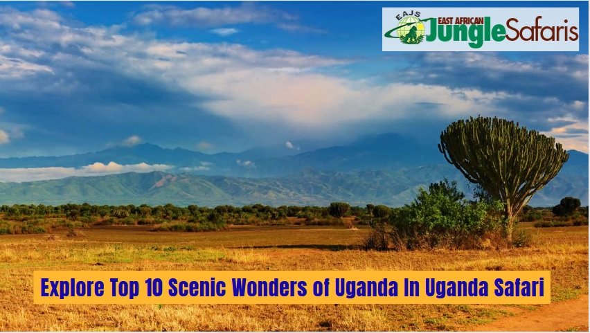 Uganda Safari