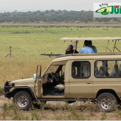 Are There Any Health Risks on a Uganda Safari?