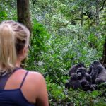 What Is the Cheapest Way to Go Gorilla Trekking?