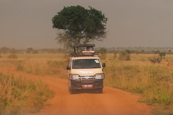 How Much Is a Game Drive in Murchison Falls?
