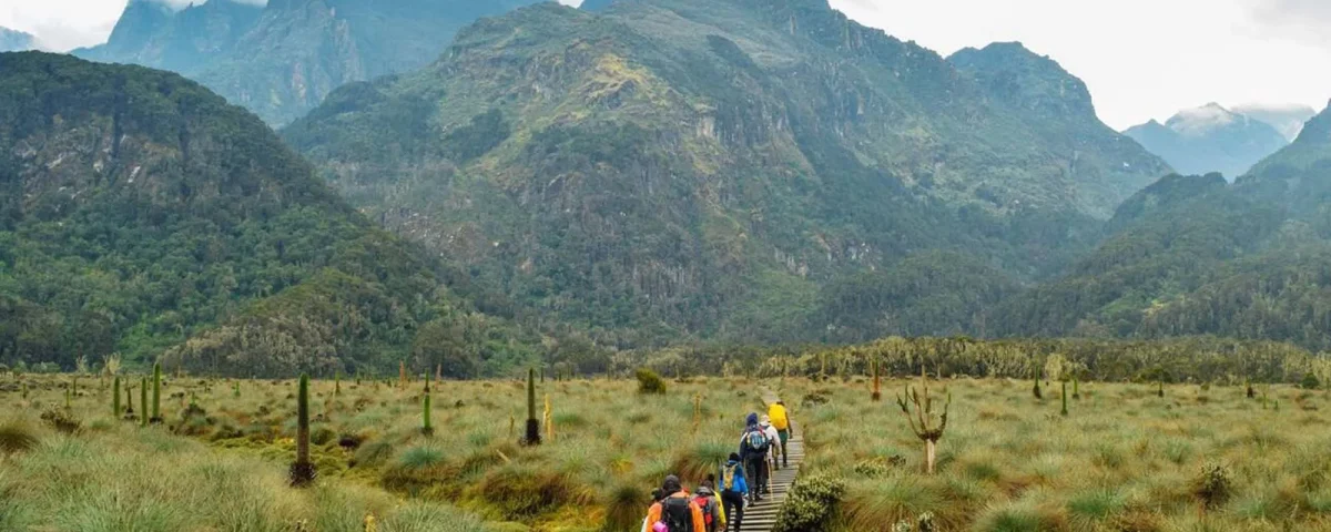 Rwenzori Mountains National Park Uganda Hiking Safari