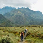 Rwenzori Mountains National Park Uganda Hiking Safari