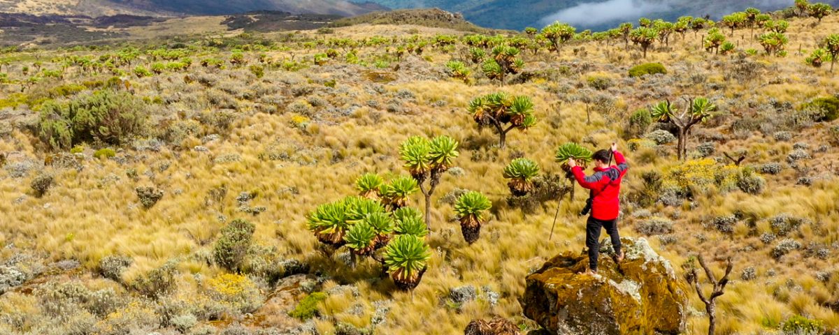 Mount Elgon National Park Uganda Hiking Safari
